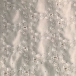 cotton little lace ☆uume sama