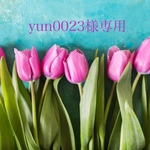 yun0023様専用 ヘアクリップ ポニーフック 