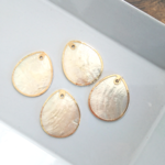 ：2pieces： import   shell drop plate parts