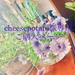 cheesepotato様専用☆ 流木フェザータペストリー＋マクラメプラントハンガーセット