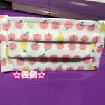 インナーマスク☆ハンドメイド・リンゴ