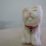 癒しのねこ