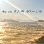 ✳︎peenaさん専用ページ✳︎