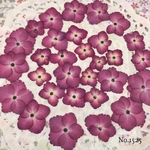 ♡new♡ 作家様必見 ♡紫陽花の押し花セット♡