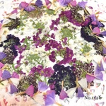 ♡new♡作家様必見♡ ♡可愛いアリッサムやスターチス♡押し花セット♡