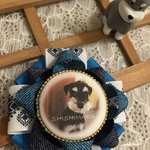 我が子のオンリーWAN🐾ロゼット