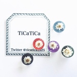 towa ピアス/イヤリング【受注販売】