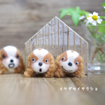 runarunajunさま専用ページ＊キャバリアミニフレーム