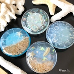 海のマグネットセットB