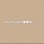 haruharusann様専用ページ マスクケース セット