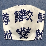 子供用　立体マスクキット【お魚漢字柄】