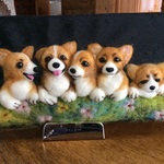 コーギー5兄弟（パピー）