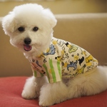 オーダーメイド　モノトーン恐竜Tシャツ　半袖　犬服　恐竜　ドッグウェア  