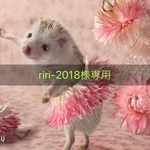 マスクキット