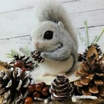 エゾモモンガのアレンジメント