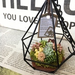 多肉植物のランタン風カゴ