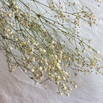 かすみ草のドライフラワー