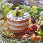 フェイク/クレイ・ネイキッドケーキ　wedding/birthday撮影・飾り用ケーキ "タイプ１"