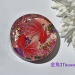友禅金魚〜桔梗桜