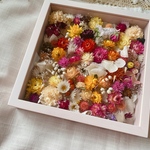 ゲスト参加型🌸結婚証明書（小）