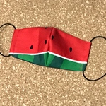 【再販】子供用　スイカ🍉