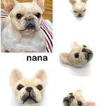 フレブル4匹