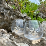 okinawan coral(ワンポイント珊瑚)/ ゆらゆらグラス(1個)320ml