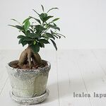 ｓ さま専用オーダーページ　