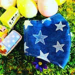 星柄☆ハンドメイドマスクカバー（M）