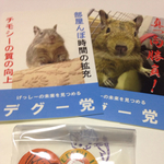 デグー党ステッカー(送料込