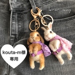 kouta-m様専用 ちびっこ着せ替えｳｻｷﾞ立ち耳(白)&たれ耳(ｵﾚﾝｼﾞ系)