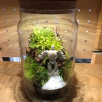 苔テラリウム ハンドメイド LEDライト付き！