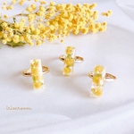 ミモザ　クリア