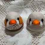 コロコロキンカチョウ（大）フォーン