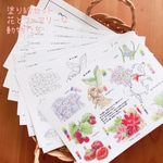 花とフェアリーな動物たち塗り絵セット