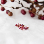 Cranberry