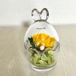 egg rabbit glasドーム　yellow薔薇プリザーブドフラワー