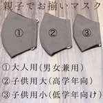 ★送料無料★立体インナーマスクNo.3