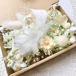 Baby Blueミニコンパクタと千日紅＊ハーバリウム　花材ドライフラワー  花材詰め合わせセット＊ハーバリウム　花材ドライフラワー　花材詰め合わせセット