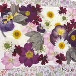 ♡new♡  ♡可愛い押し花セット♡ ♡使いやすい少量の押し花セット♡