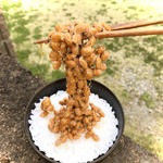 ネバネバ納豆ご飯の小物入れ