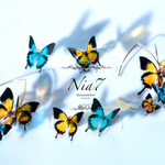 【10月18日再販】fly (autumn)