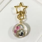 【御守りバックチャーム】大切な愛犬ちゃんを亡くされた方の御守りバックチャーム（虹の橋）レジン