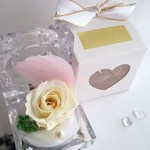 限定クリスタルケース入り国産プリザーブドキスカパール付