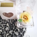 限定クリスタルケース入り国産プリザーブドキスカパール付