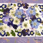 ♡new♡  ♡可愛い押し花セット♡ ♡使いやすい少量の押し花セット♡