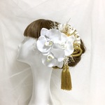 白雪の胡蝶蘭とかすみ草♡タッセル+白扇付