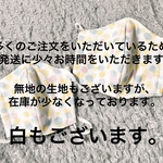ガーゼ☆マスク2枚セット