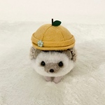 黄色いりんごキャスケットお花付き☆ハリネズミ、小動物用帽子