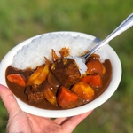 ごろごろカレーライスの小物入れ🍛